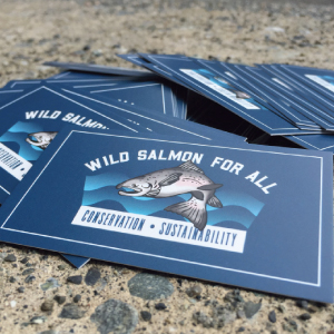 Wild Salmon For All Logo and Business Cards by Ontra Marketing Group
