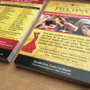 Castillo de Feliciana Flyers designed and printed by Ontra Marketing Group